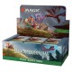 MTG Bloomburrow PLAY Booster Display